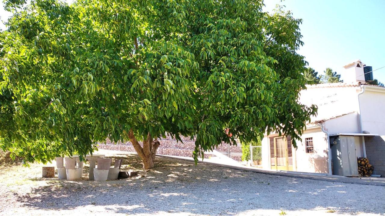 Vila Venta De La Casa Noguera Riópar Exteriér fotografie